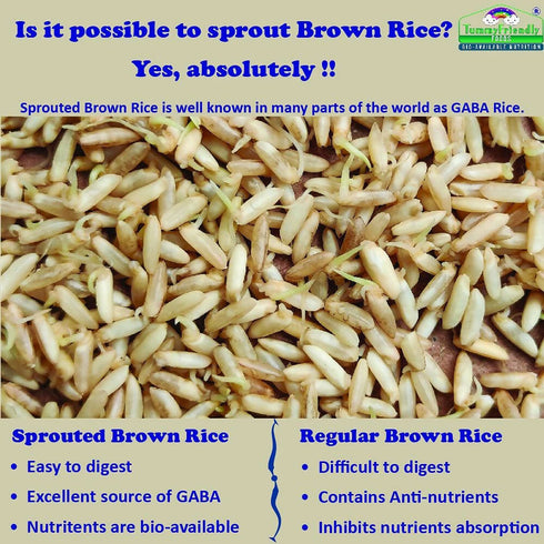 TummyFriendly Foods Certified Organic Sprouted Brown Rice | Red Lentil | Spinach | Green Peas Porridge Mix